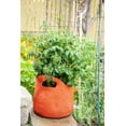 thumbnail image 4 of SMART POT 10 Gallon Fabric Grow Bag w/cut handles - Orange, 4 of 5