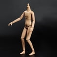 thumbnail image 4 of Sin Costuras de Acción Flexible para Hombres Y Mujeres 1/6 Articulaciones Multipunto Hombros Estrechos Y Cuello (sin CUTICAT Figura de acción, 4 of 8