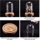 thumbnail image 4 of Cúpula de cristal con base de madera maciza. Vitrina transparente., 4 of 7