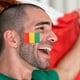thumbnail image 4 of 10 hojas de la bandera del mundo pegatinas autoadhesivas bandera pegatinas world part pegatinas de cara (estilo aleatorio), 4 of 6