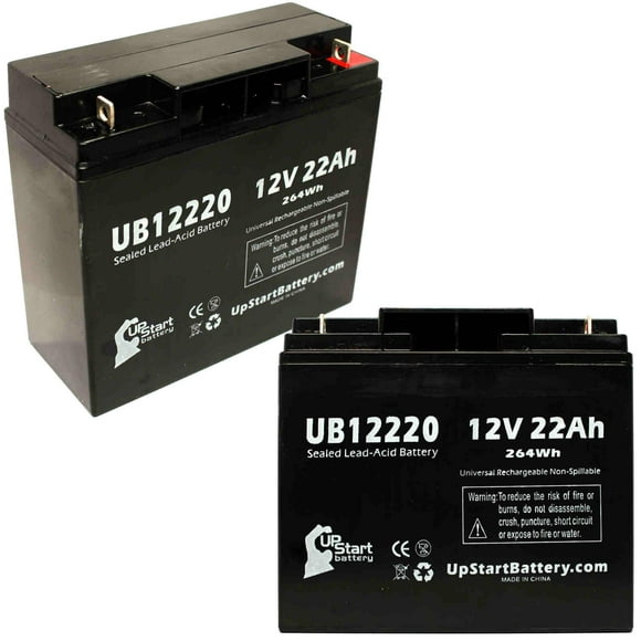Dual Terminal Battery