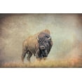 thumbnail image 2 of Schell, Jennie Marie 18x13 White Modern Wood Framed Museum Art Print Titled - Buffalo Bison on Hill, 2 of 4