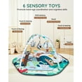 thumbnail image 4 of 4-in-1 Baby Activity Gym & Tummy Time Play Mat, with 6 Detachable Sensory Toys, 0-36 Months, Sensory Motor Development, Newborn Infant Gift, 4 of 9