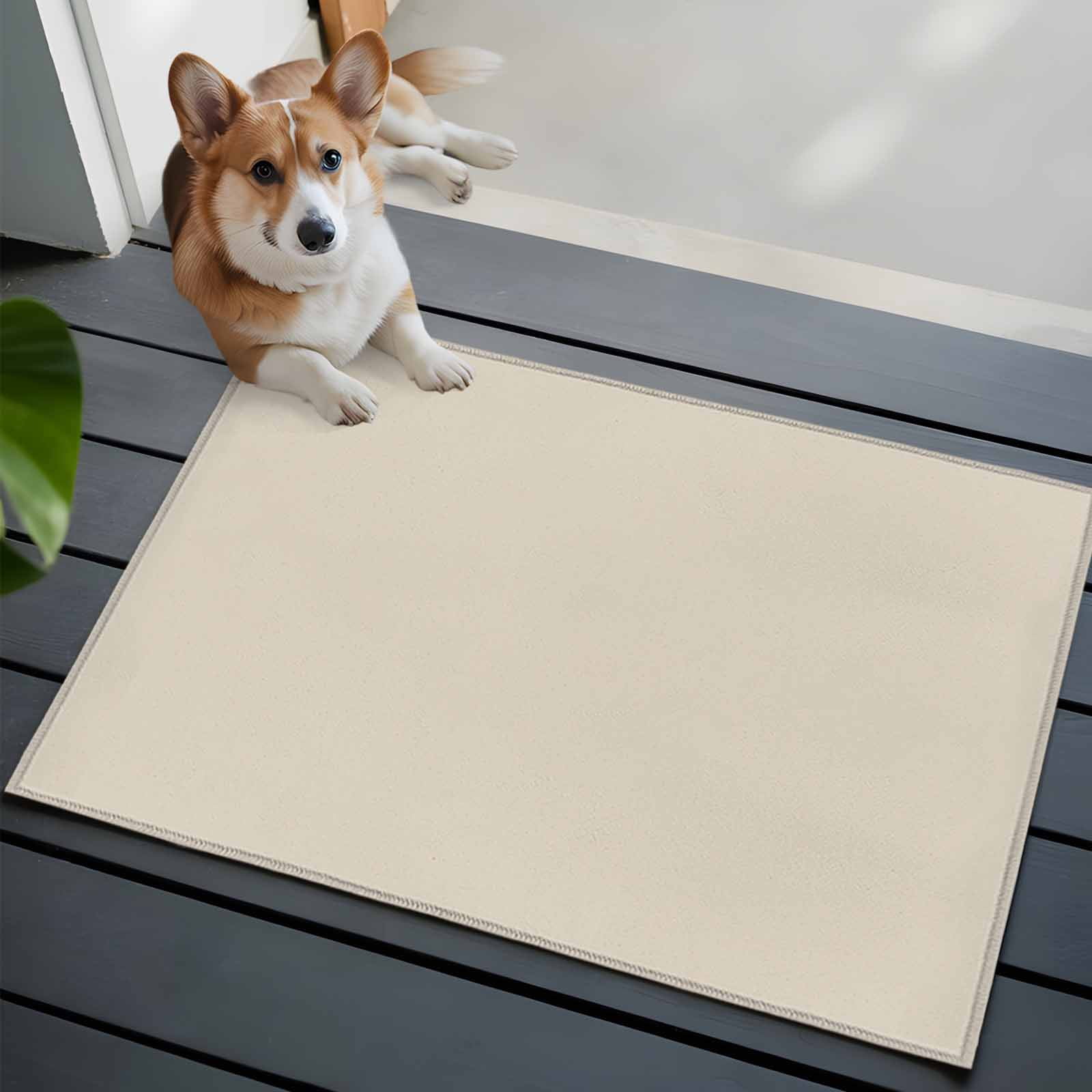 Ivory White Bathroom Mat 2x3 FT, Non Slip Small Kitchen Mat, Modern Pure Ivory White Washable Soft Backed Front Door Throw Rug Non-Shedding Indoor Outdoor Doormat for Entryway Sink