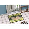 thumbnail image 2 of Carolines Treasures SS8328JMAT Lhasa Apso Paillasson - 24 x 36 Po., 2 of 4