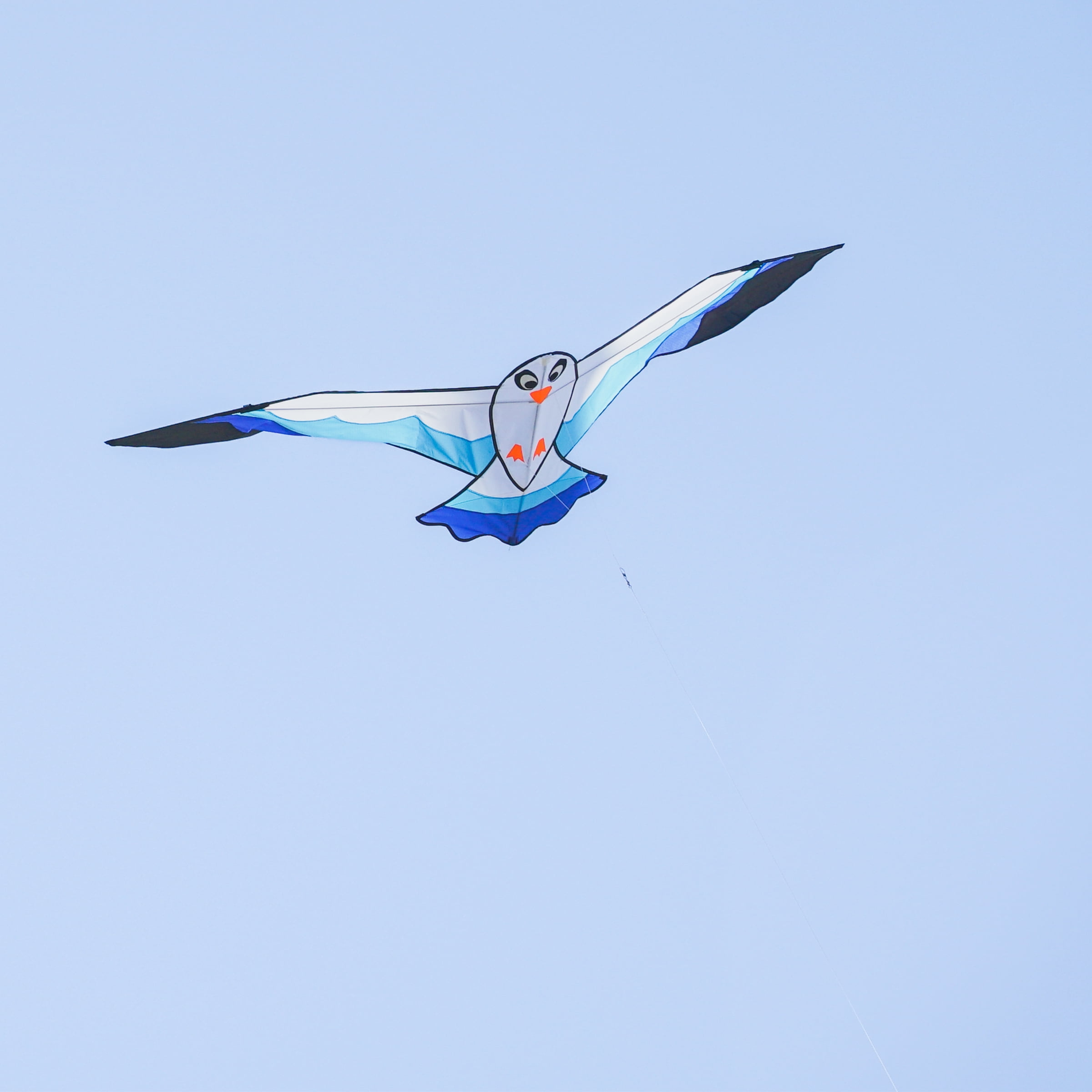 In the Breeze 3378 — 70-inch Blue Seabird Kite — Colorful, Easy-Flying, Single-Line Bird Kite; Kite Line Included