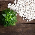 thumbnail image 2 of Gravier pour Jardin et Décoration Intérieure et Extérieure (Blanc, 850g), 2 of 5