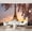 Color 3, variant on Wall Mural Peel and Stick Taj Mahal Sunset Reflecting Pool Vibrant Sky Self-Adhesive Wallpaper Removable Wall Decal Wall Sticker Home Decor for Living Room Bedroom 69"x96"