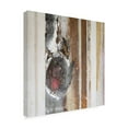 thumbnail image 4 of Canvas Wall Art - Erin McGee Ferrell 'Textured Grain VI' Wall Art for Living Room, Bedroom, or Office Décor by Trademark Fine Art - 14 x 14 Inches, 4 of 4