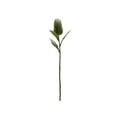 thumbnail image 3 of Melrose Artificial Protea Floral Stem Spray - 26.5" - Set of 6, 3 of 4