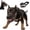 S-Scary Dog Muzzle#1, variant on Scary Dog Muzzle, Prevents Barking with Adjustable Plastic Breathable Muzzle for Halloween,Party Costume and Christmas(S)
