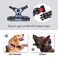 thumbnail image 3 of Arnés para perros PHOEPET Chaleco reflectante ajustable Baby Blue S, 3 of 6
