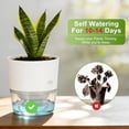 thumbnail image 4 of IWNTWY 5.7" Self Watering Pots, 4 Pack Plastic Planters with Deep Reservoir and Wicking Rope for Indoor Outdoor Garden Plants and Flowers, White, 4 of 10