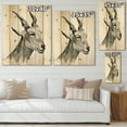 thumbnail image 4 of Designart 'Black and White Portrait Of Goat I' Farmhouse Print on Natural Pine Wood, 4 of 5