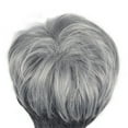 thumbnail image 3 of Xihbxyly Peluca Europea Corta y Rizada, Estilo Abuela Gris, Fibra Suave de Aspecto Natural, Gorro de Encaje Transpirable, Ideal para Fiestas, Solución Capilar Versátil, Fácil Mantenimiento., 3 of 7