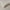 Light Gray, variant on Solid 300-Thread Count Egyptian Cotton Duvet Cover Set