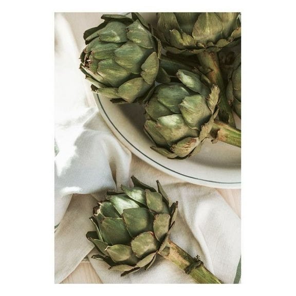 Artichoke In Sunlight Print Wall Art, Modern Wall Decor For Living Room Bedroom, 8x12 UNFRAMED