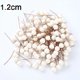 thumbnail image 1 of Mini bayas artificiales a granel, estambres de frutas, cereza de Navidad, perlas de plástico, bayas, caja de regalo DIY, accesorios de decoración de corona de boda, 1 of 4