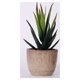 thumbnail image 2 of 2 piezas de plantas suculentas artificiales, decoración paisajística para el hogar, la oficina y el balcón (verde, verde claro)., 2 of 6