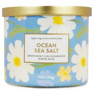 Star Candle Co. 3-Wick Candle, Ocean Sea Salt, 14 oz
