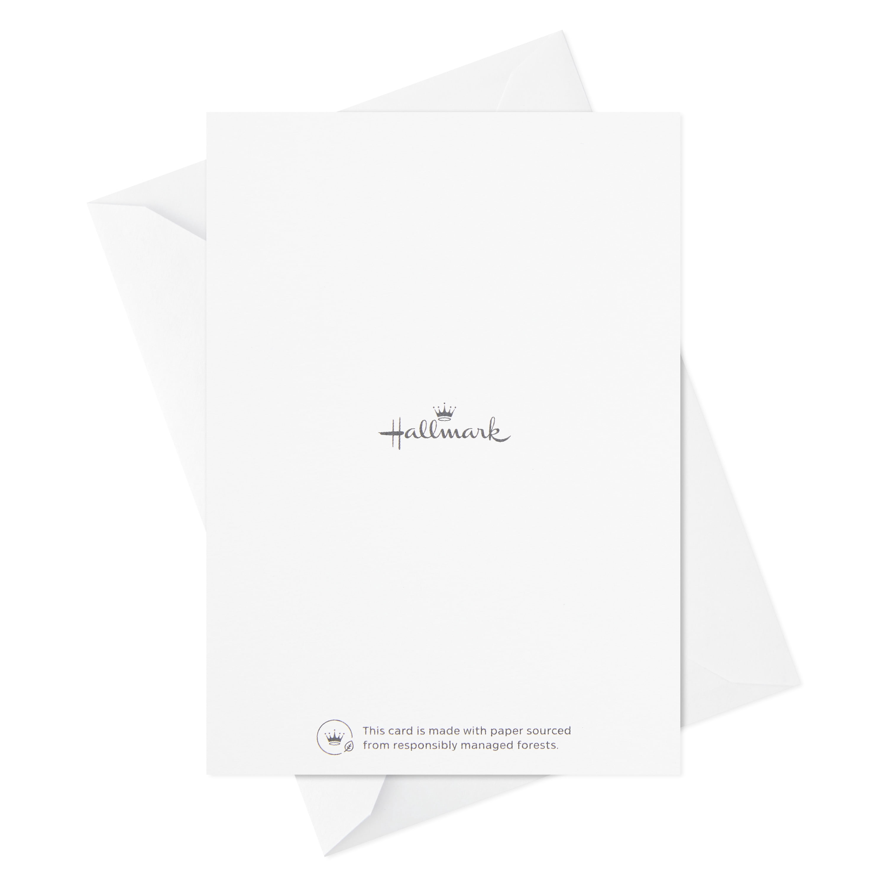 Hallmark Blank Note Cards, Shine On, 12 ct.