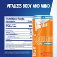 thumbnail image 3 of Red Bull Amber Edition Sugarfree Energy Drink, Strawberry Apricot, 80mg Caffeine, 8.4 fl. oz. Can, 3 of 10