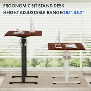 FLEXISPOT 48x30 Home Office Height Adjustable Standing Desk with Hooks, Ergonomic Electric 2-Stage Stand Up Computer Desk, White and Mahogany