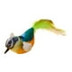 thumbnail image 2 of 5xCat Juguete Interactivo Divertido Y Lindo Juguete De Plumas Para Gatitos Los Gatos De Interior Juegan Chase Green, 2 of 8