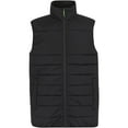 thumbnail image 1 of Regatta Mens Essential Thermal Body Warmer, 1 of 5