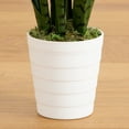 thumbnail image 5 of Nearly Natural Sansevieria Artificial Plant with Planter - 2' - Green, 5 of 7