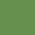 Modern Real Wood 11x14 inch Picture Frame in Green