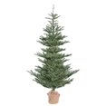 thumbnail image 1 of Vickerman G160250 Alberta Spruce Burlap Base Christmas Tree, 5 ft. x 40 in., 1 of 2