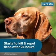 Seresto Flea & Tick Collar For Dogs Over 18 lbs., Vet-Recommended, 8 Month Protection