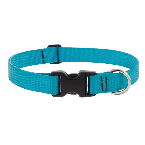 Collar para perro LupinePet Aqua de 2,5 cm de ancho, ajustable entre 41 y 71 cm