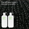 thumbnail image 6 of True Fresh Mint & Cucumber Moisturizing Shampoo - Moisturizing and Hydrating Formula for Women & Men, 16.4 fl oz, 6 of 12