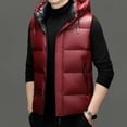 thumbnail image 2 of Chaqueta de plumón sin mangas, ropa de diseñador para hombre, chaquetas acolchadas ligeras de lujo, chaleco para hombre, abrigo de invierno con relleno de plumón de pato, 2 of 5