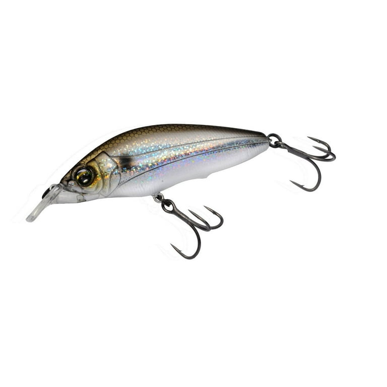 duel fishing lures Hardcore Lure, Heavy Sinking Minnow, Hardcore, Heavy Minnow (S), 2.8 inches (70 mm), Weight: 0.5 oz (16 g), F1188-HBPC-Blupin Candy, Sea Bass, Blue : Sports & Outdoors Sinking /Ring Duel Dolce F 125 125