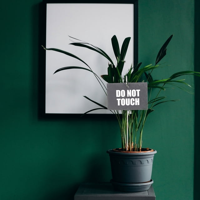EXHUMKY 1Jgo Etiquetas De Pizarra Para Plantas Con Varillas De Hierro Negro Para Jardín Y