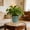 Marine, variante sur JZCHUNTOY Vase d'Arrangement Floral en Fer à Ligne Courbée, Jardinière Moderne Minimaliste, Contenant de Plante en Métal Résistant à la Rouille et Durable pour Décoration de Salon, Bureau, Mariage, Bureau