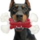 thumbnail image 1 of Juguetes Resistentes Zinbo Verde Indestructibles para Perros Masticadores Agresivos, 1 of 7