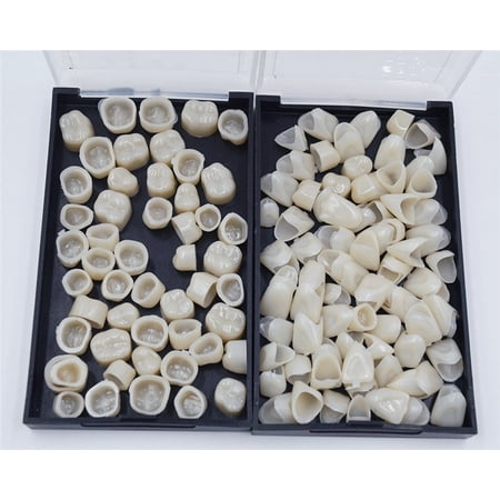 100 Mixed Dental Temporary Crown Kit Anterior Front Back Molar Teeth Realistic Oral Care Resin Crown Molar Teeth