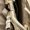 KHAKI, variant on Men's Cargo Pants Solid Color Durable Multi‑Purpose Casual Bottoms S‑XXL
