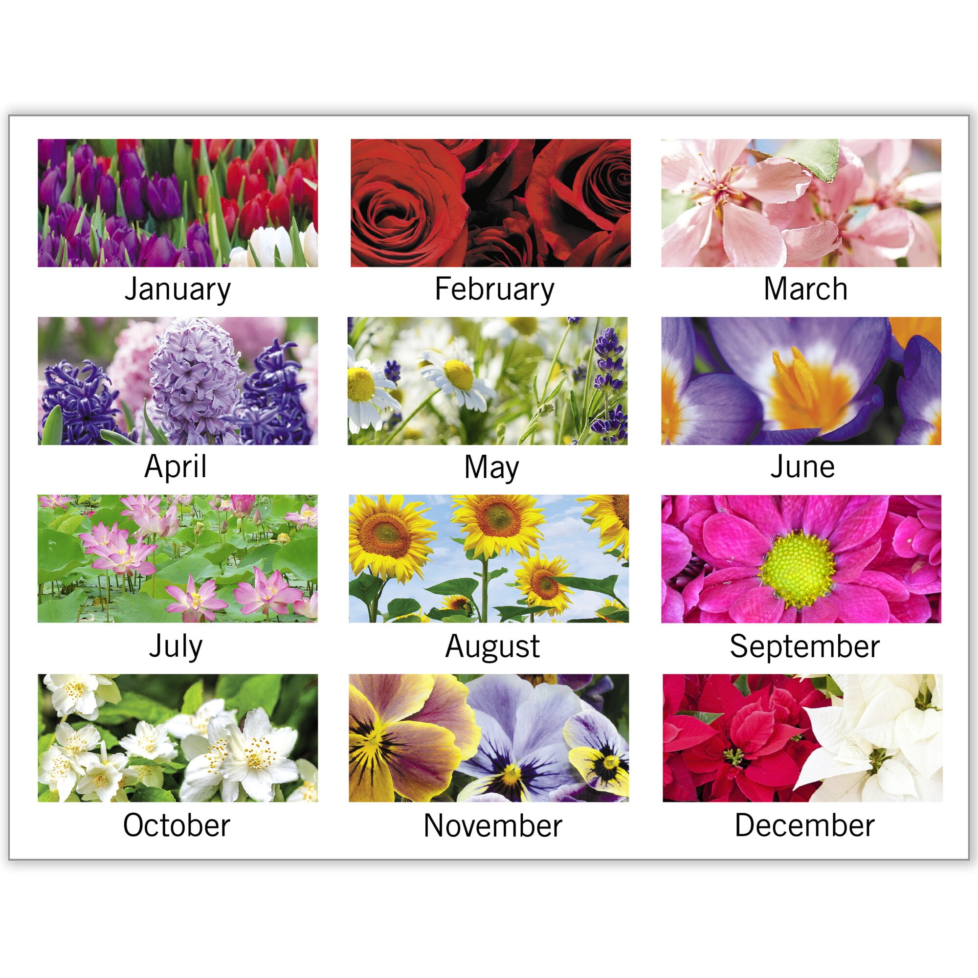 AT-A-GLANCE 2026 Panoramic Floral Monthly Desk Pad Standard 21 34 x 17 - Desk