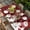 Red Black White, variant on Blue Snowman Christmas Table Cloths for 8 Foot Rectangle Tables, Xmas Snowflake Birds Berry Winter Patio Waterproof Elastic Fitted Tablecloths, Washable Rectangular Table Cover for Camping
