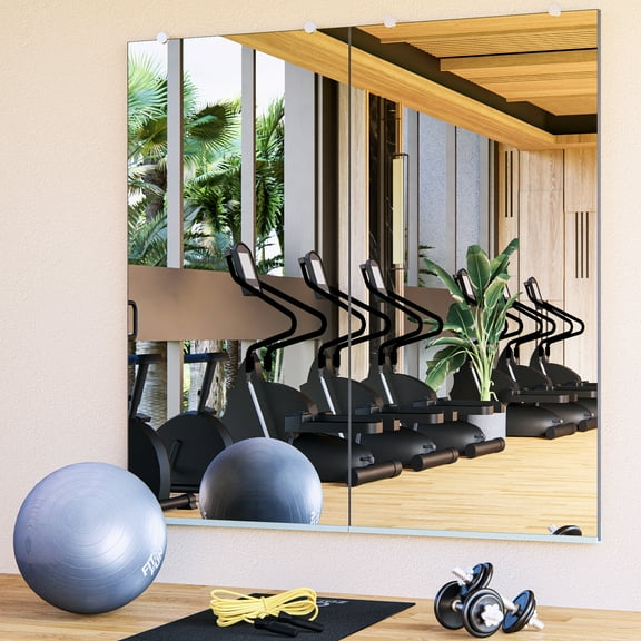 Gym Mirror - Wall Mirror with 3/16" Thick HD Ultra Clear Tempered Glass - Mirrors for Wall Mounted - Long Full Body Mirror for Bedroom, Home Gym, Door, Bathroom - (24x48-2 Pack)