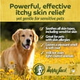 thumbnail image 4 of Happy Jack Xylecide Antifungal Shampoo for Horses & Dogs, 12 Fluid Ounces Bottle, 4 of 11