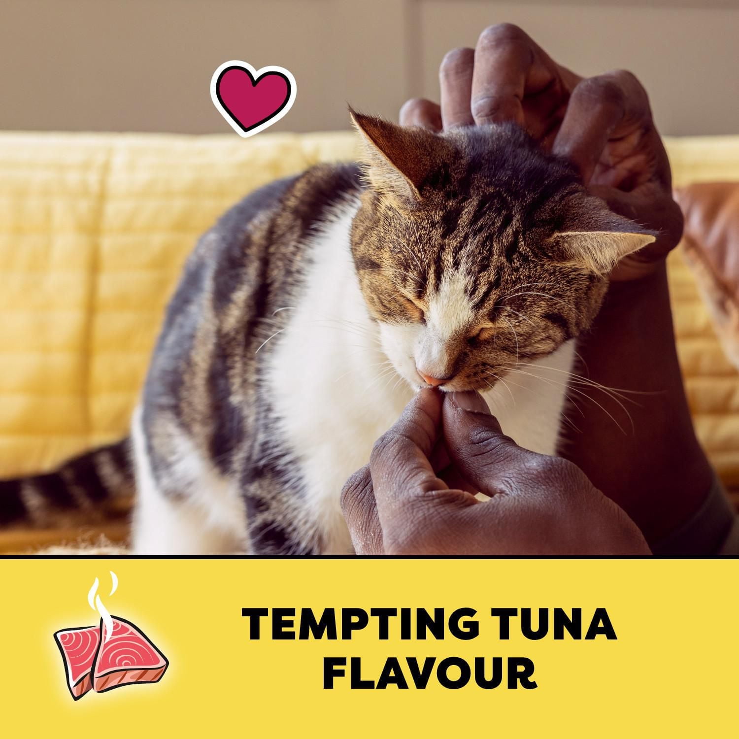 Temptations Tempting Tuna Flavour Soft & Crunchy Adult Cat Treats, 454g