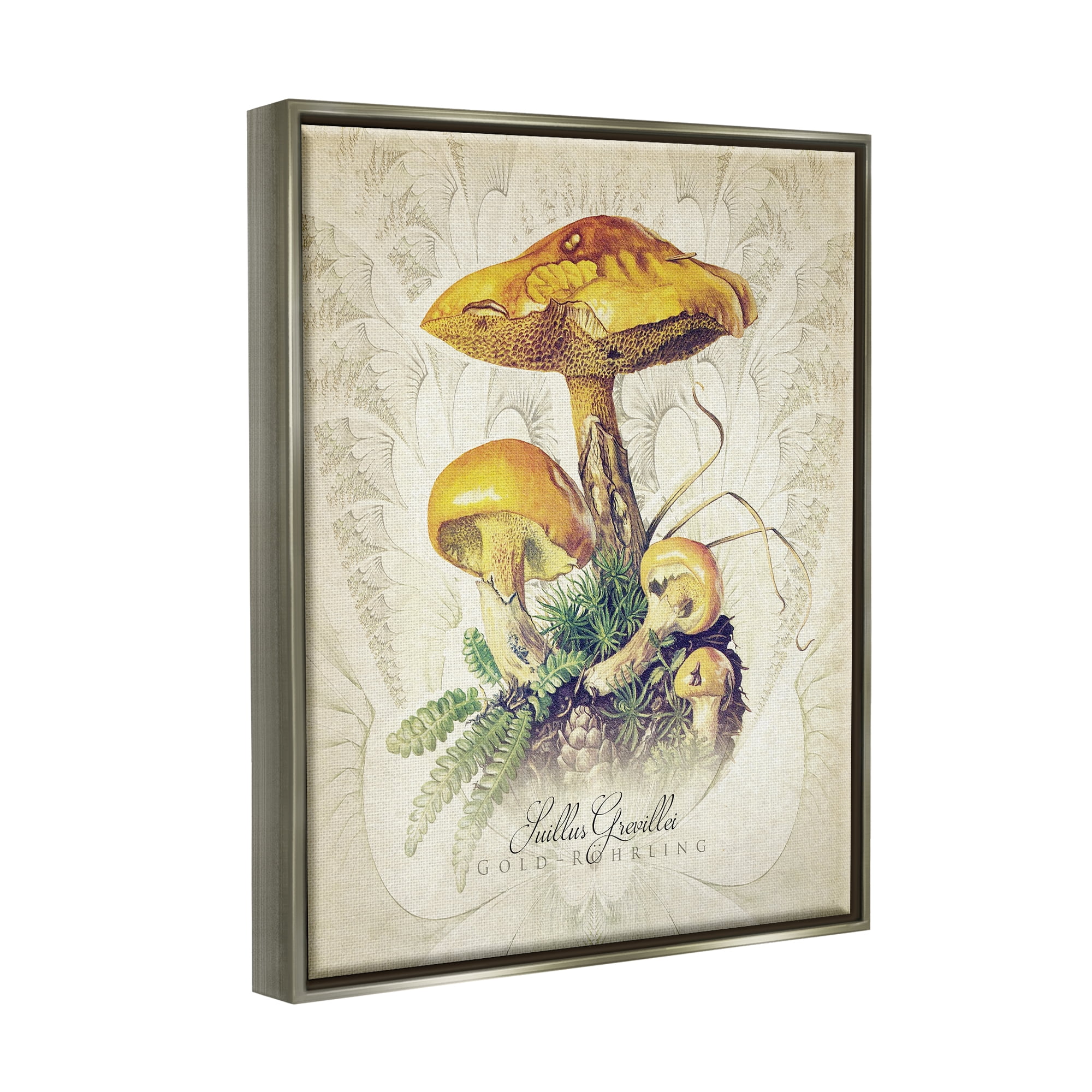 Stupell Industries German Scientific Mushroom Study Botanical & Floral Painting Gray Floater Framed Art Print Wall Art
