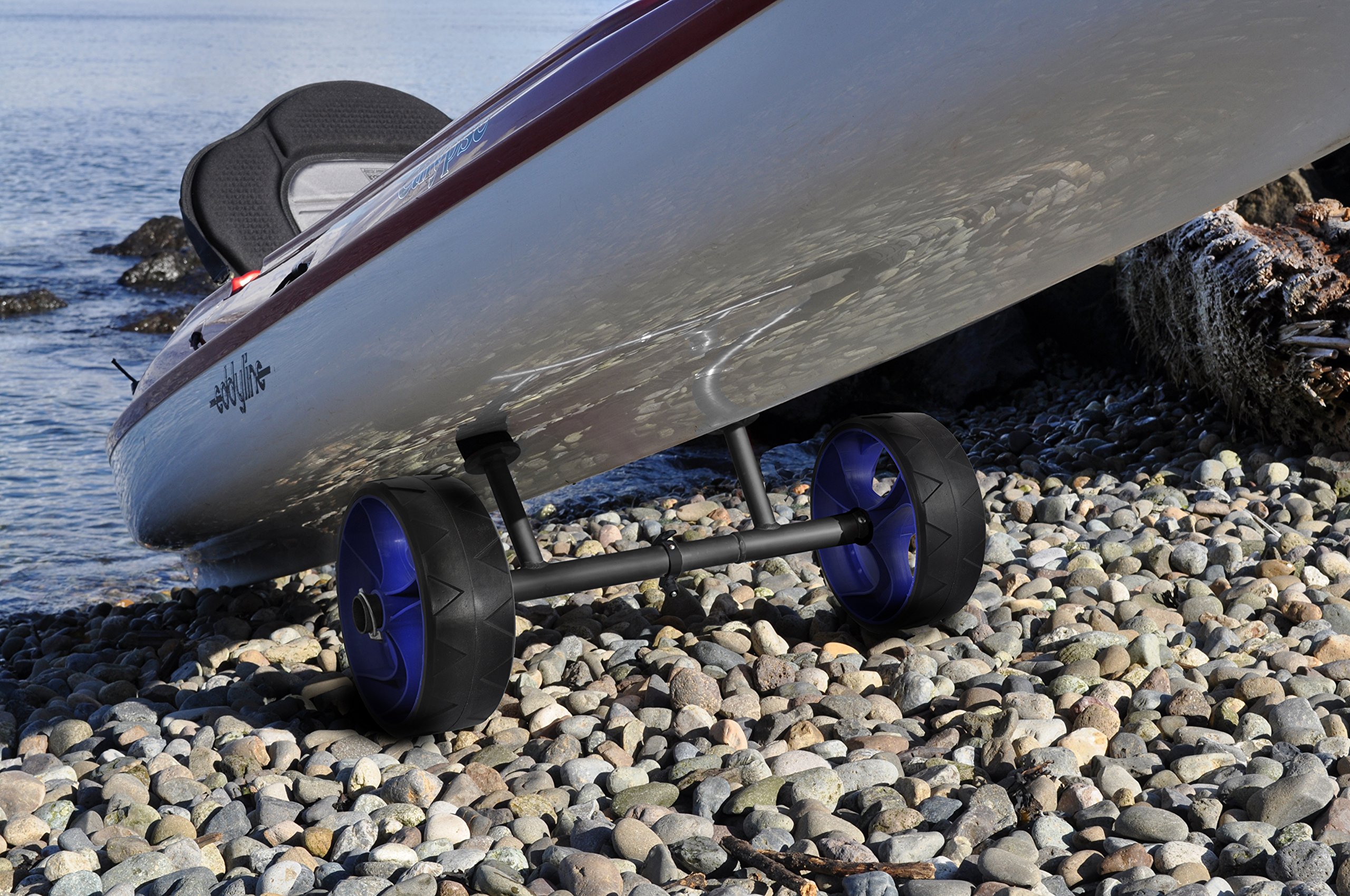 Seattle Sports Carriers Scupper Swift