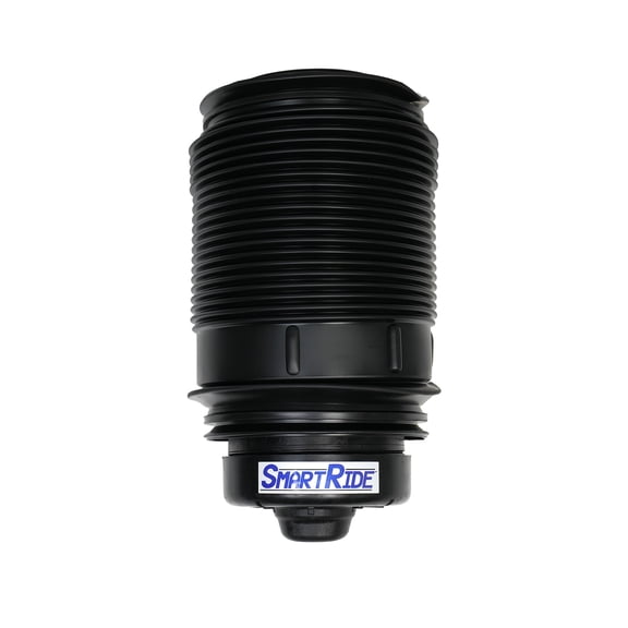 Air Spring for 2010-2018 Mercedes Benz E-Class (W212/W218) Rear Left